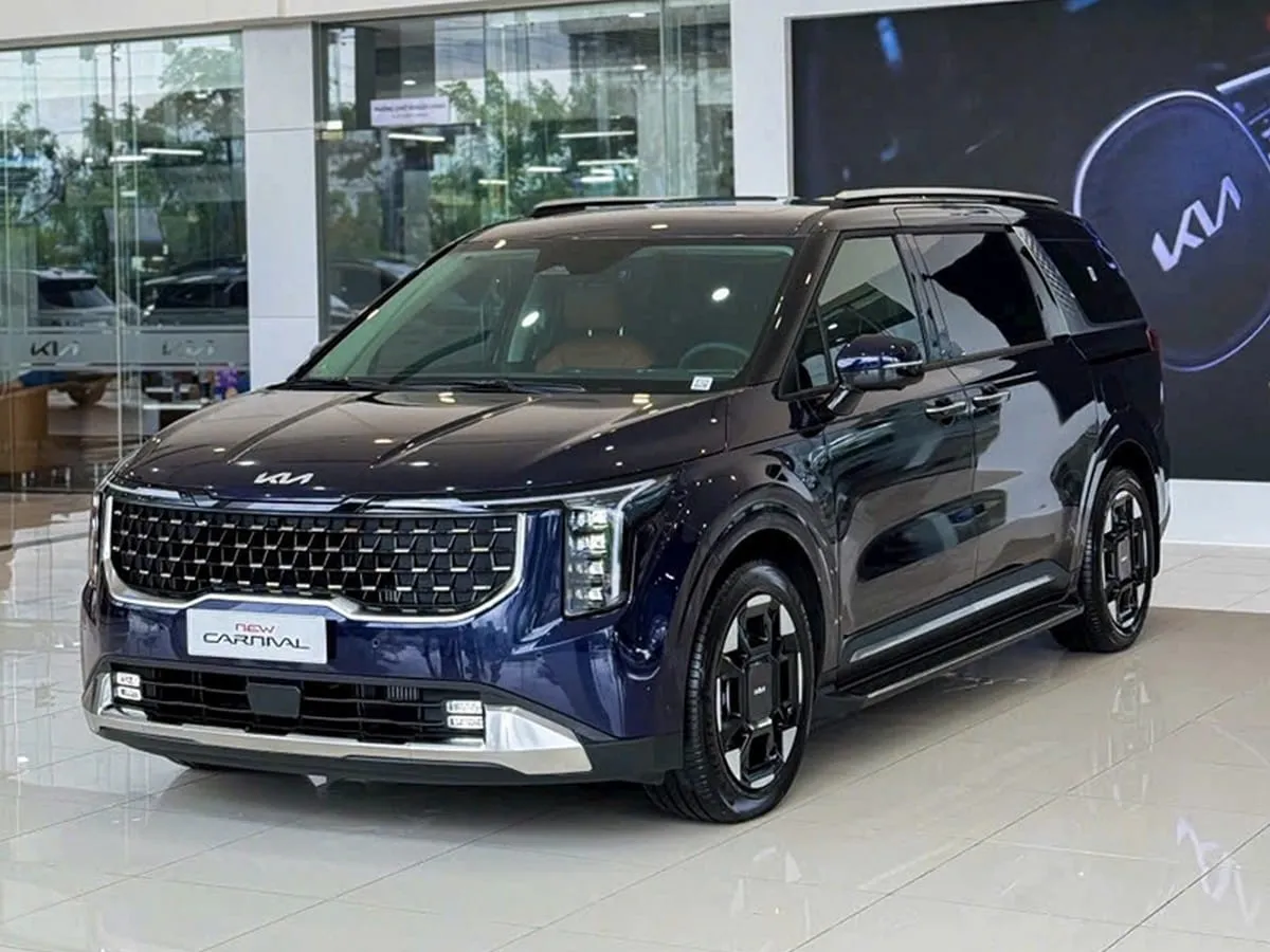 Tuổi Quý Sửu phù hợp với các gam màu thuộc hành Thủy và Mộc