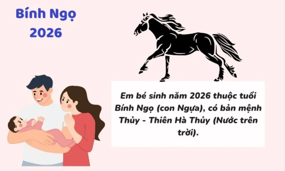 con sinh nam 2026 hop voi bo me tuoi gi 1 1