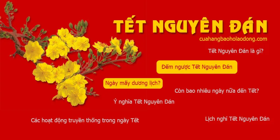 tet nguyen dan ngay may duong lich 14 11 1