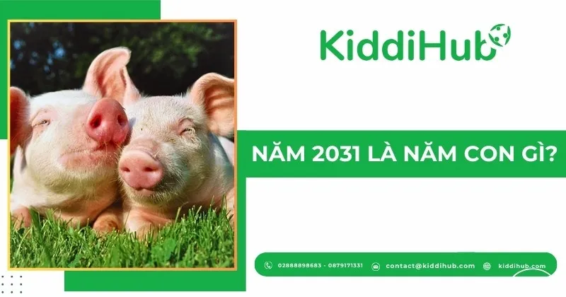 Lợn là con giáp thứ 12 tượng trưng cho sự sung túc và thân thiện trong văn hóa Việt Nam