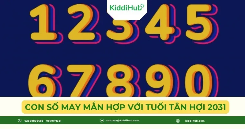 Những con số mang lại may mắn và vượng khí cho người tuổi Tân Hợi 2031