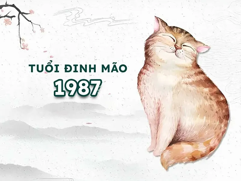 Thiên Can Đinh và Địa Chi Mão, tạo nên tuổi Đinh Mão với mối quan hệ tương hỗ