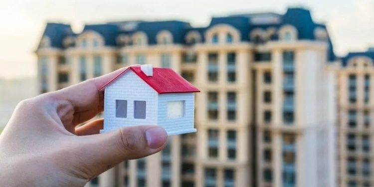 Tuổi Quý Mùi 2003 nên tránh mua nhà vào các năm Tam Tai, Kim Lâu, Hoang Ốc để đảm bảo may mắn