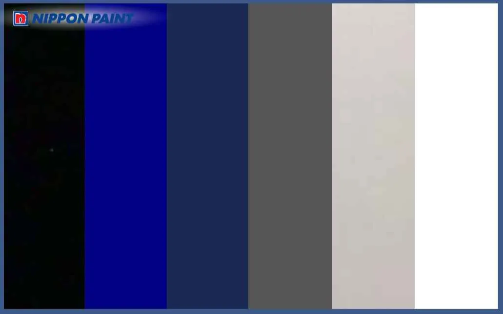 Sinh năm 2016 kỵ màu đen, xanh dương, navy, trắng, xám, ghi