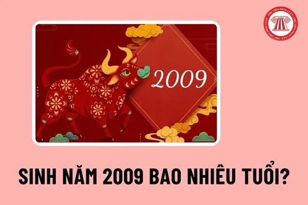 Công dân Việt Nam sinh năm 2009 có được làm căn cước công dân không vào năm 2024