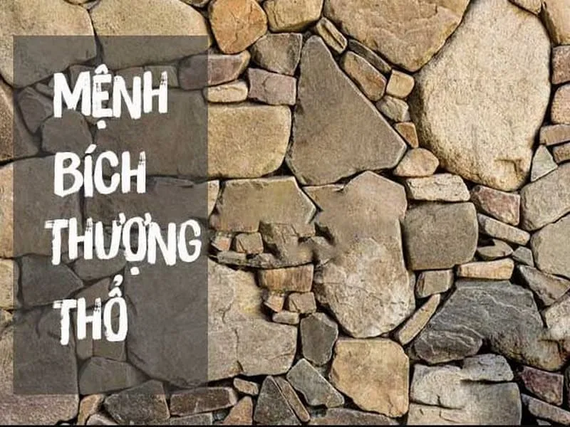 bich thuong tho nghia la gi trong ngu hanh 1 1