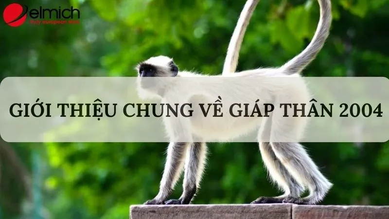 Tổng quan về người tuổi Giáp Thân 2004