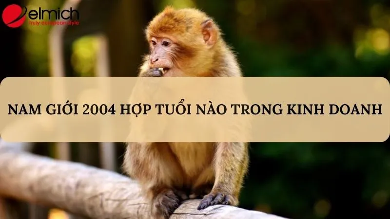 Nam giới sinh năm 2004 hợp tuổi gì trong làm ăn