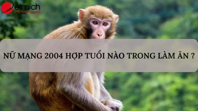 Nữ mạng 2004 nên chọn Đinh Sửu và Bính Tuất để làm ăn chung