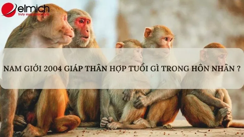 Tuổi phù hợp với Giáp Thân nam mạng trong hôn nhân
