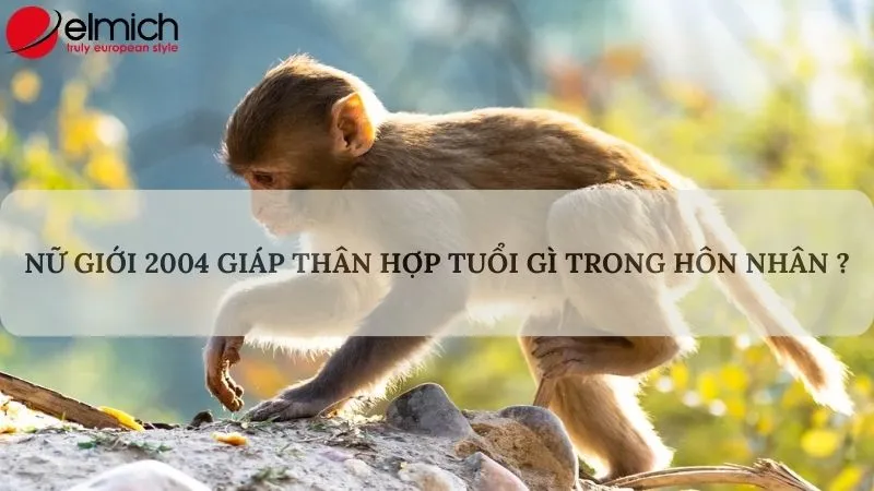 Nữ mạng 2004 nên chọn chồng Nhâm Ngọ hoặc Tân Tỵ