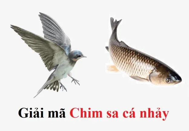 Một con chim non yếu ớt rơi xuống đất, cần được giúp đỡ