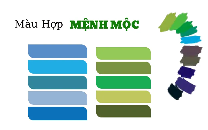 Bảng màu sắc tương hợp và tương khắc với người tuổi Nhâm Ngọ 2002