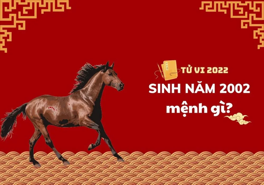 nguoi sinh nam 2002 thuoc menh gi1666603927 1