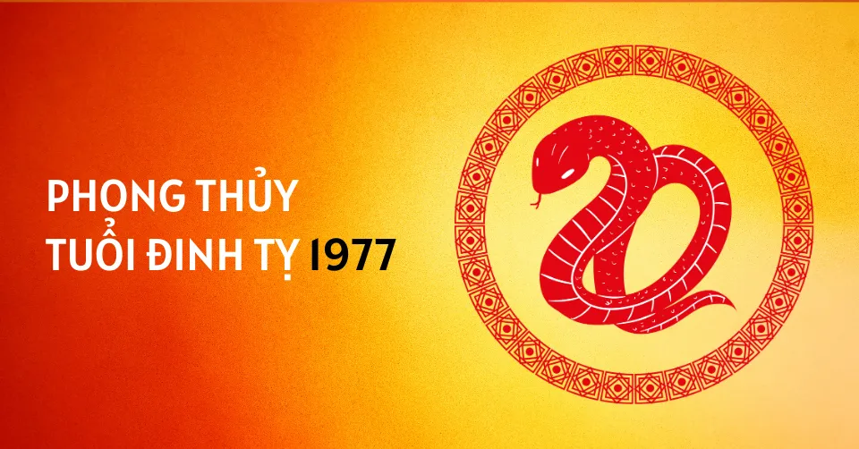 Phong thủy người sinh năm Đinh Tỵ 1977