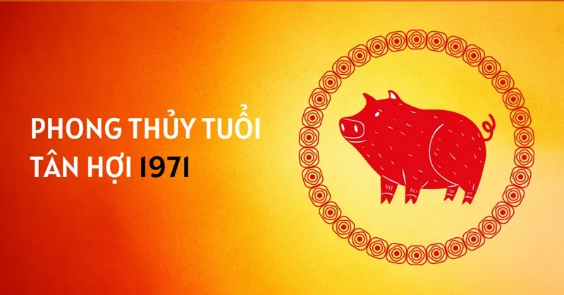 phong thuy tuoi tan hoi 1971 1