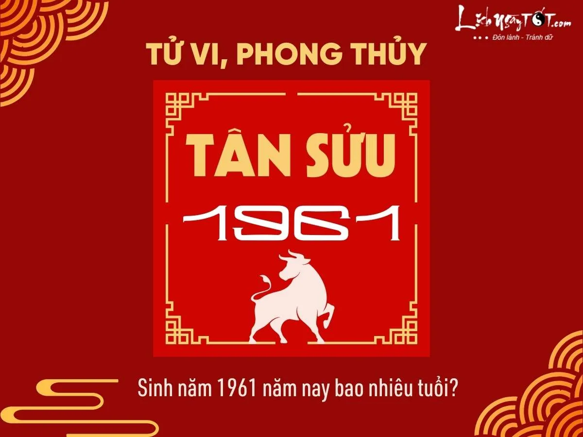 sinh nam 1961 nam nay bao nhieu tuoi 1