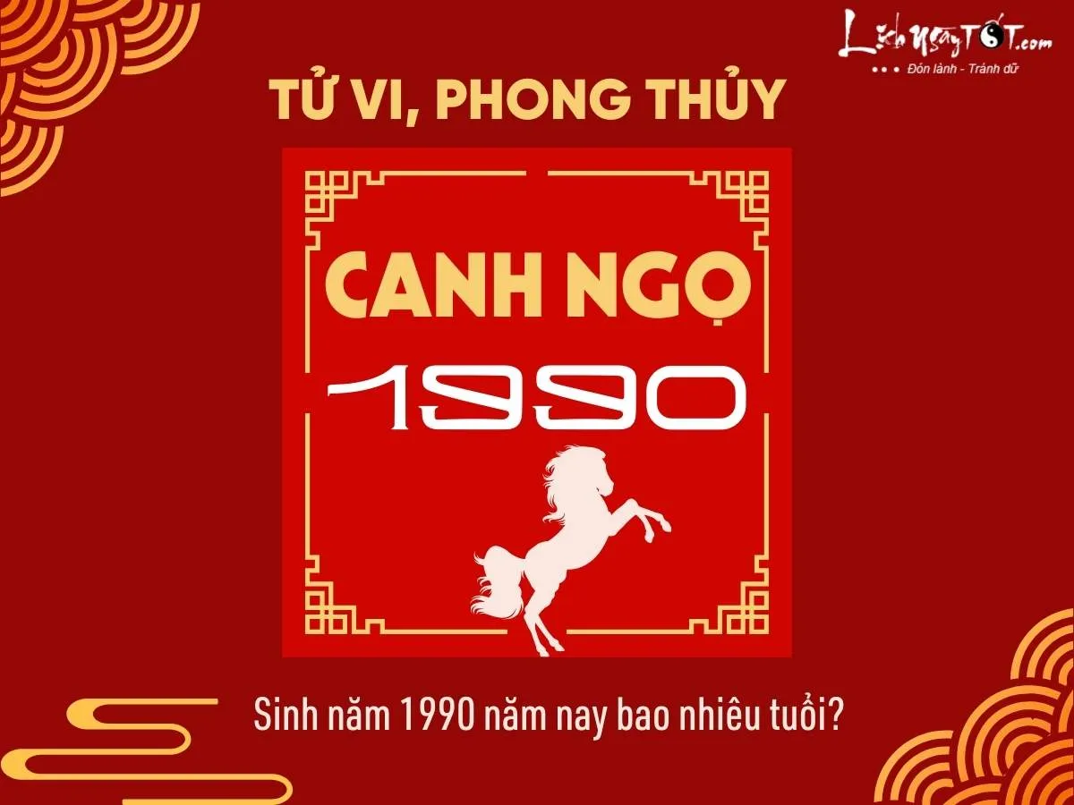 sinh nam 1990 nam nay bao nhieu tuoi 1