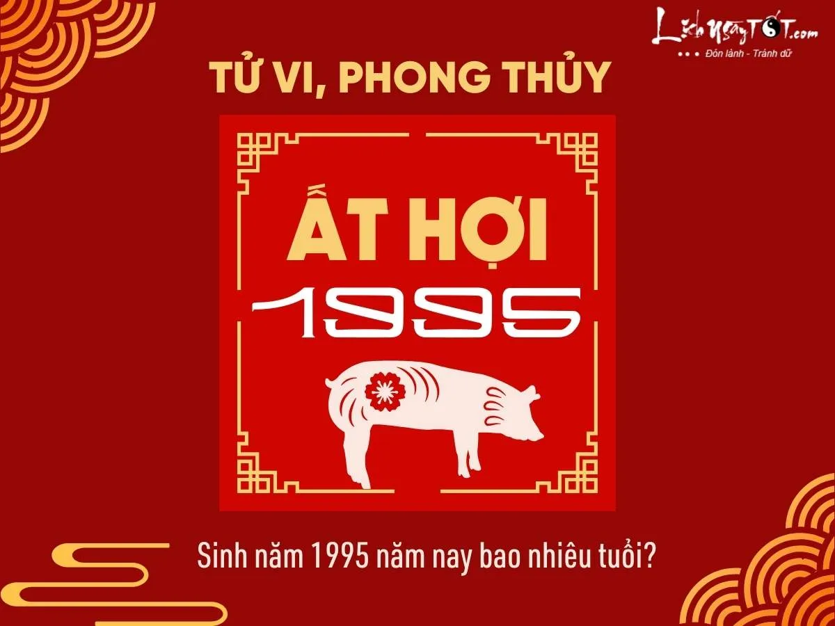 Người sinh năm 1995 Ất Hợi với các thông tin tử vi, phong thủy