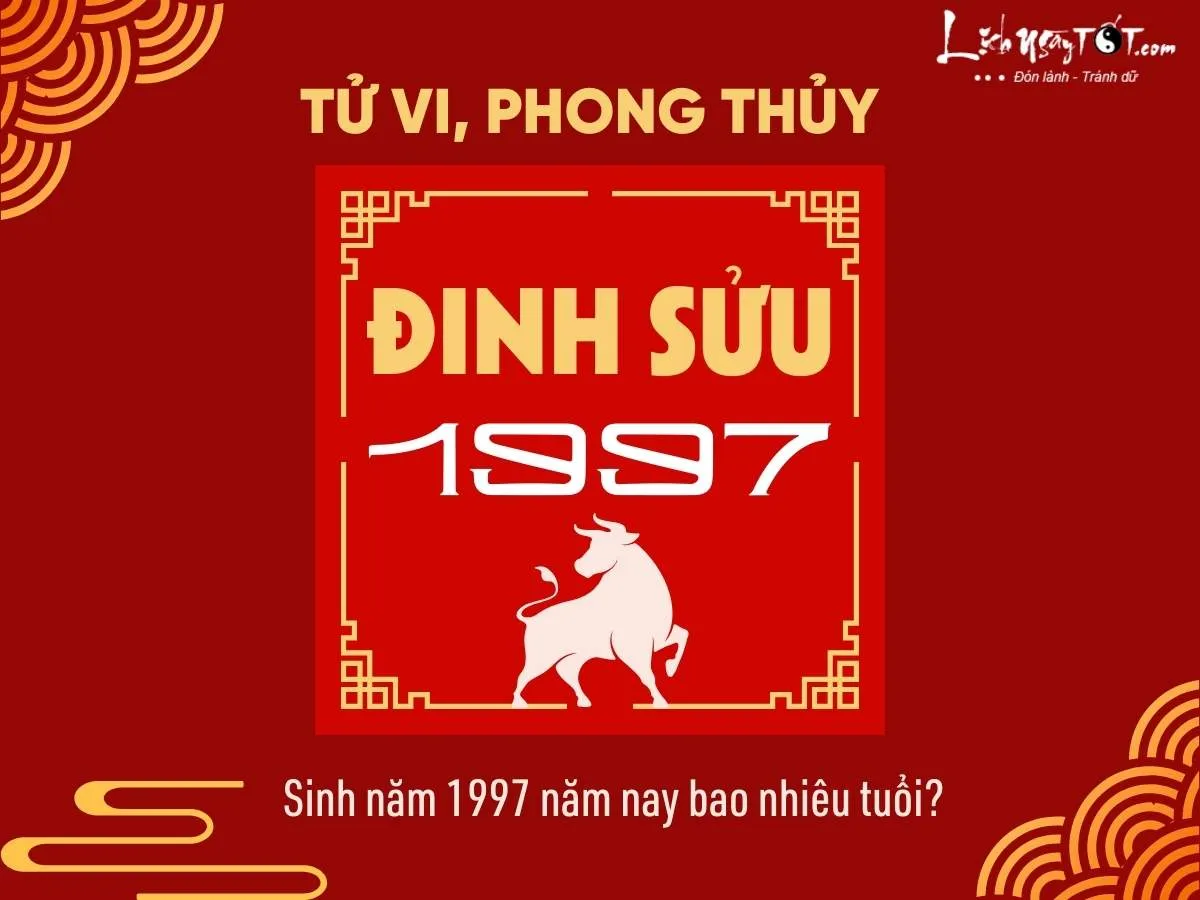 Người sinh năm 1997 Đinh Sửu năm 2024 bao nhiêu tuổi