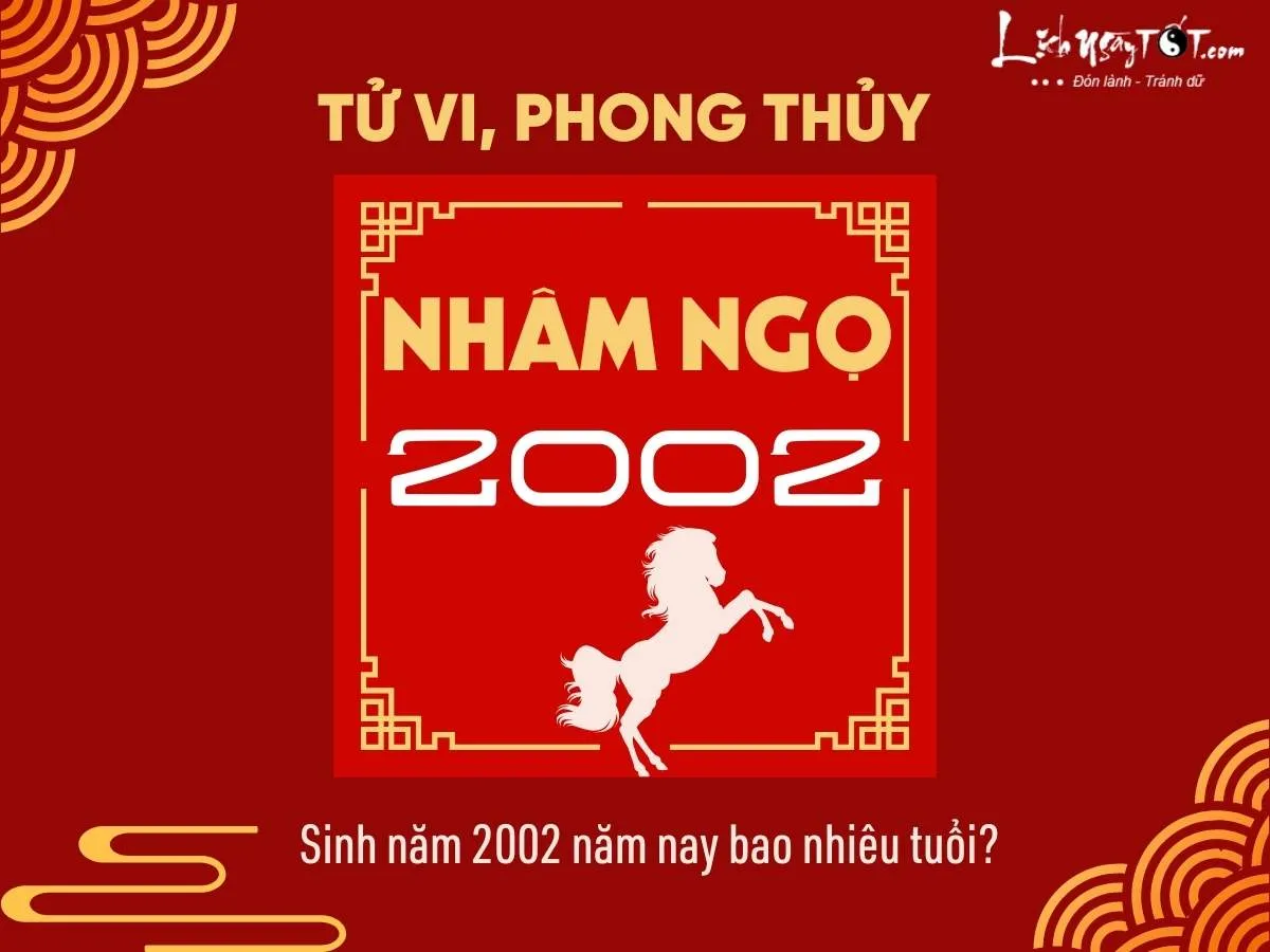 Cẩm nang phong thủy và tử vi chi tiết cho người sinh năm 2002 Nhâm Ngọ