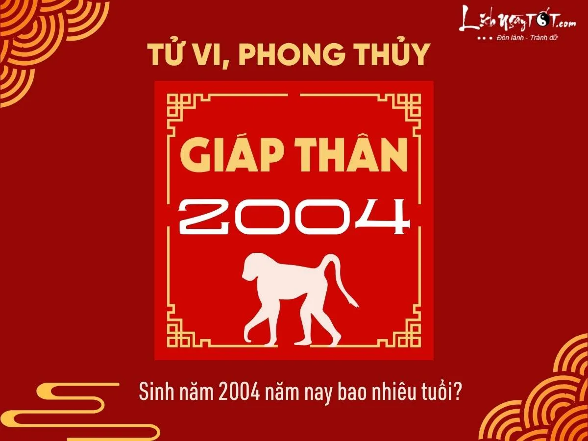 sinh nam 2004 nam nay bao nhieu tuoi 1