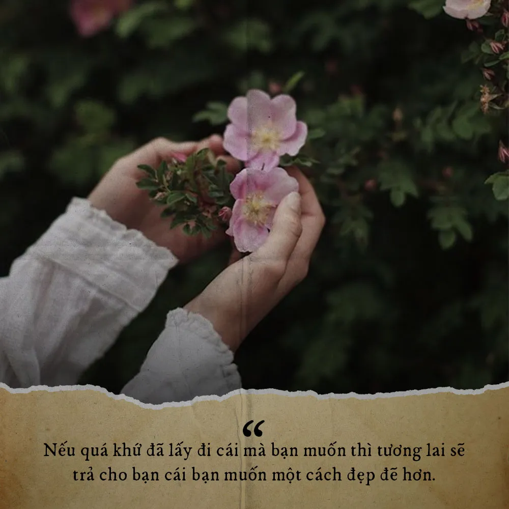 Cô gái ngồi bên cửa sổ nhìn ra xa xăm, biểu tượng cho sự chiêm nghiệm về cuộc đời
