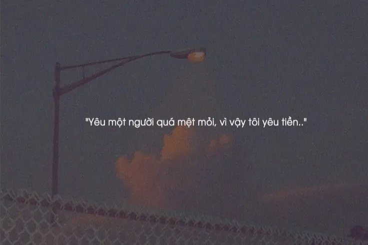 Khung cảnh cánh đồng rộng lớn dưới ánh nắng, tượng trưng cho sự tự do và bao la của cuộc sống