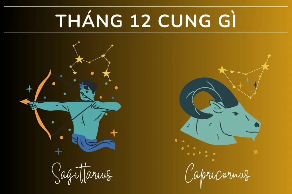 thang 12 cung gi 1024x683 1