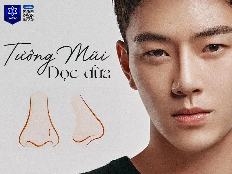 Hình ảnh minh họa tướng mũi dọc dừa ở nam giới với sống mũi cao thẳng và đầu mũi tròn đầy
