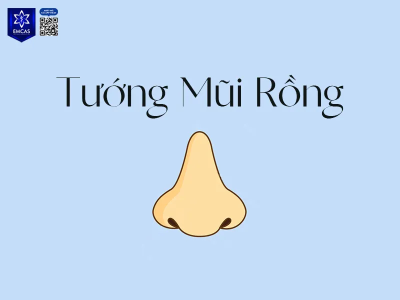 Dáng mũi rồng với sống mũi cao và hơi cong nhẹ, tượng trưng cho trí tuệ và quyền lực