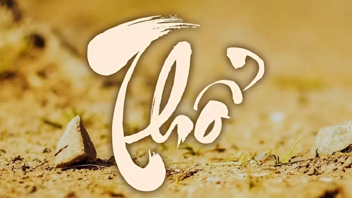 2007 menh gi 1 1