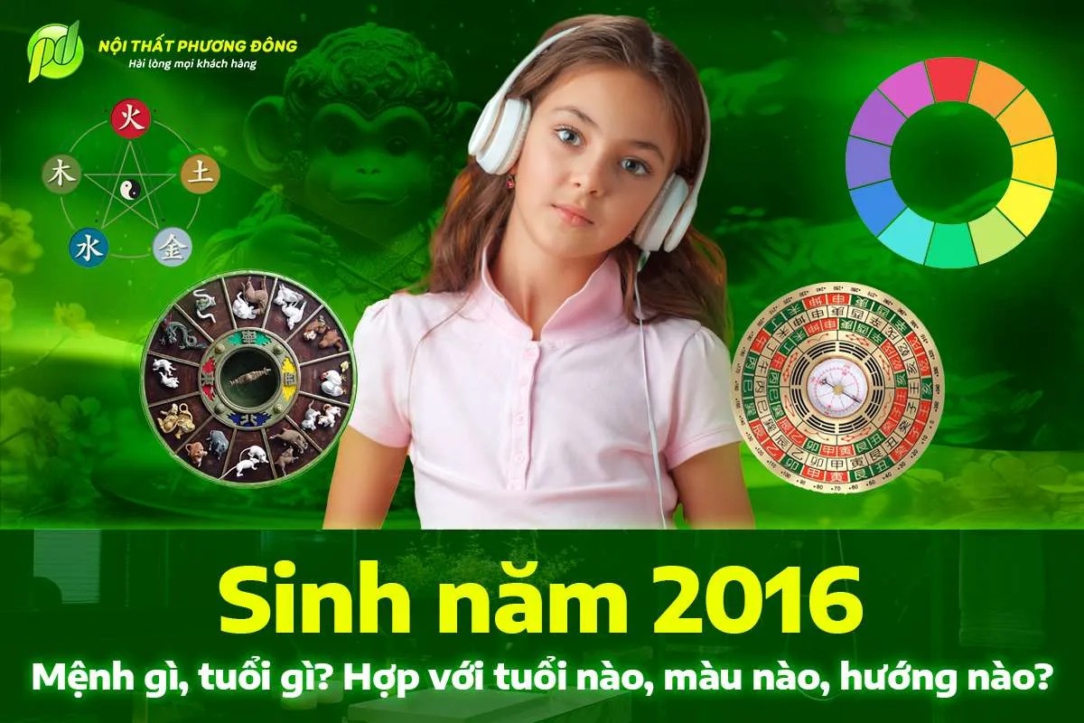 Tử vi tổng quan về người sinh năm Bính Thân 2016