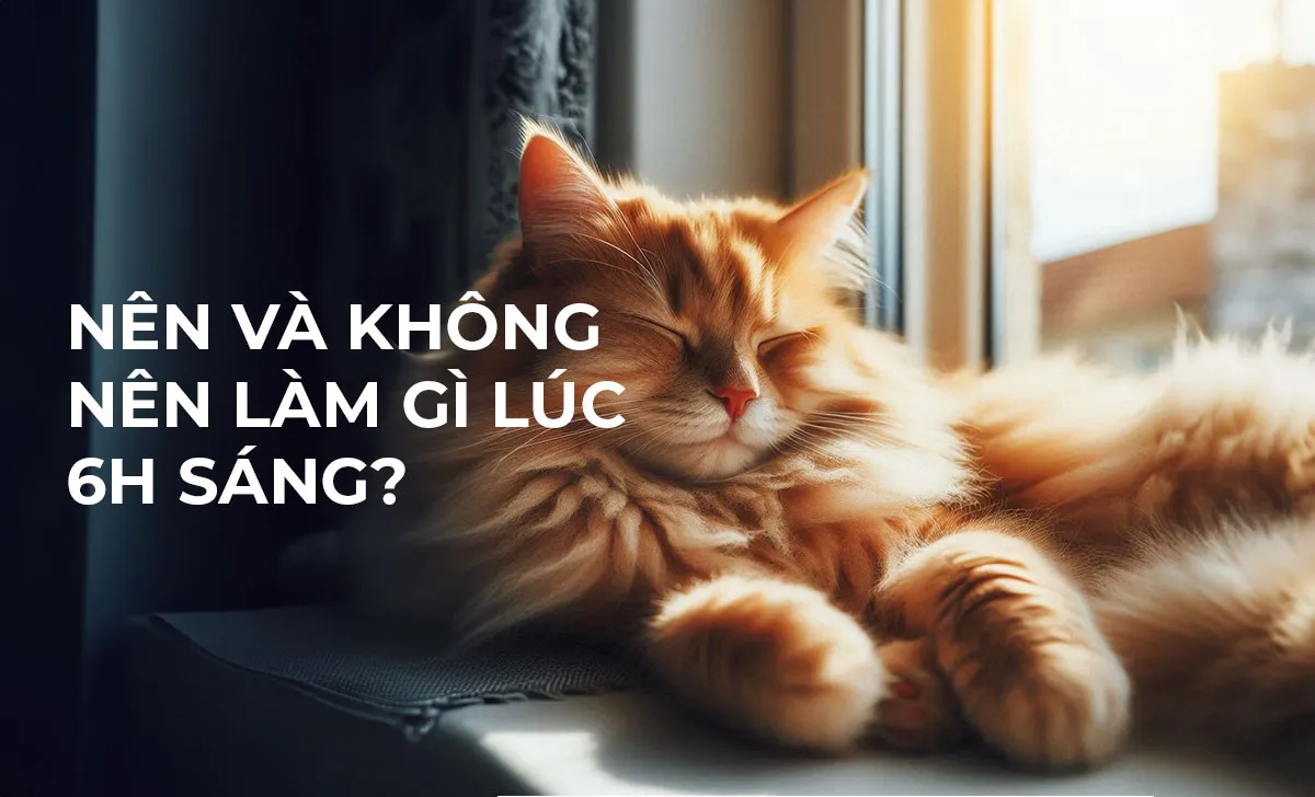 Hình ảnh mặt trời mọc nhẹ nhàng trên bầu trời xanh