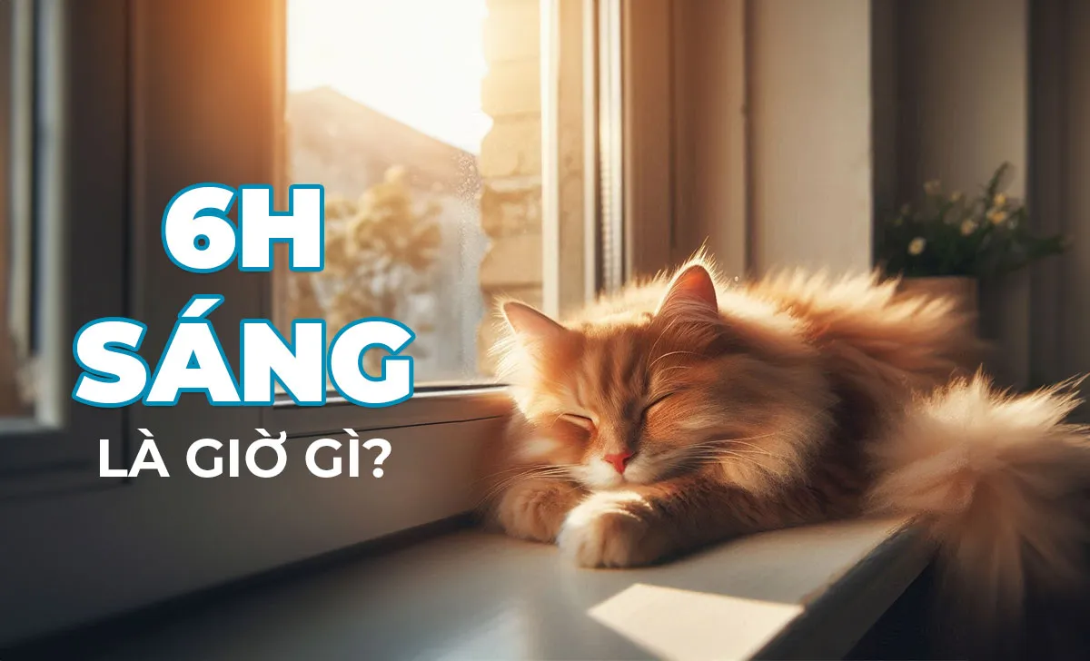 6h sang la gio gi 2 1
