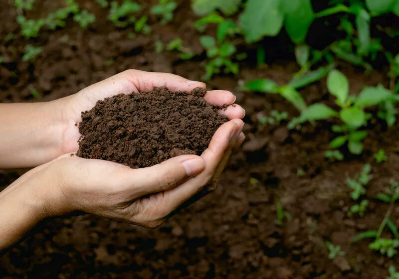 Người mệnh Thổ có tính cách điềm tĩnh, rộng lượng và thật thà