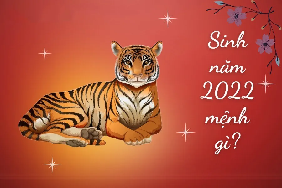 Biểu đồ Ngũ Hành tương sinh, tương khắc minh họa cho mệnh Kim 2022