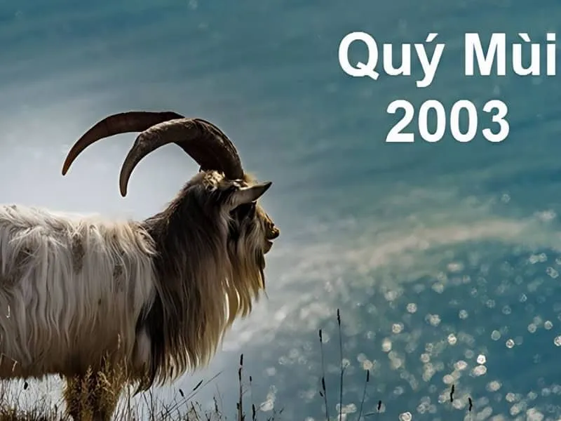 Người tuổi Mùi 2003 có tính cách mềm mại nhưng kiên cường