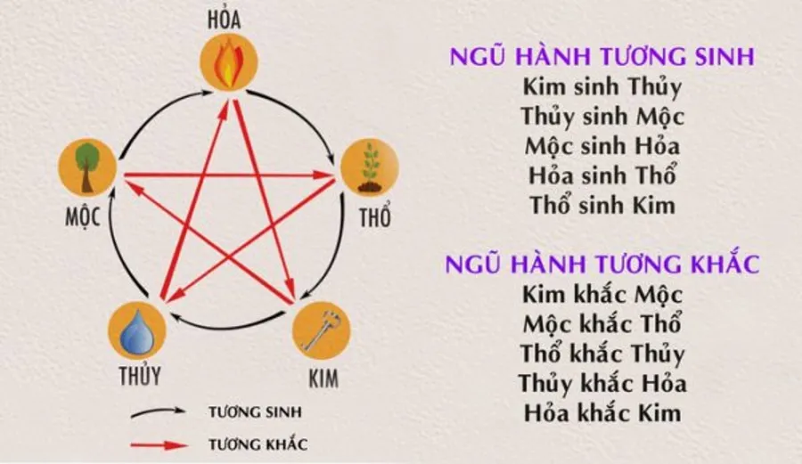 menh kim hop mau gi 2 1