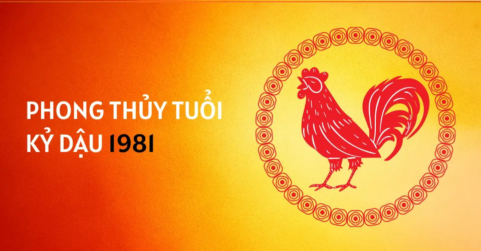 phong thuy tan dau 1981 1