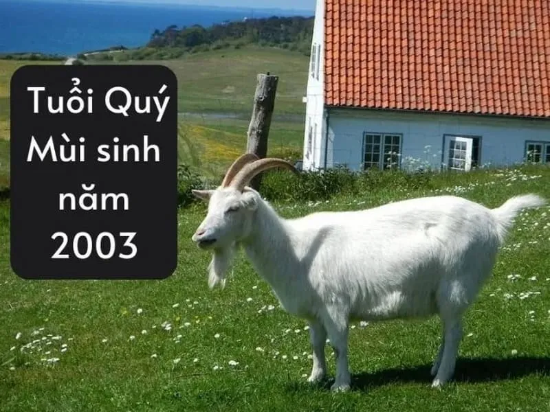 Tính cách mang những ưu điểm và hạn chế riêng