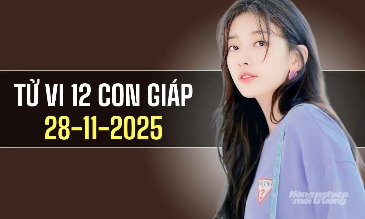 Xem tử vi hàng ngày 12 con giáp hôm nay 28/11/2025