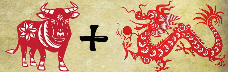 Người tuổi Sửu và tuổi Thìn có thể hợp tác kinh doanh trong thời gian ngắn