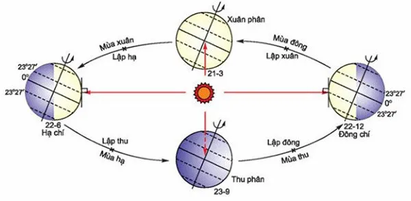 Minh họa trực quan về bốn mùa Xuân, Hạ, Thu, Đông trong một năm