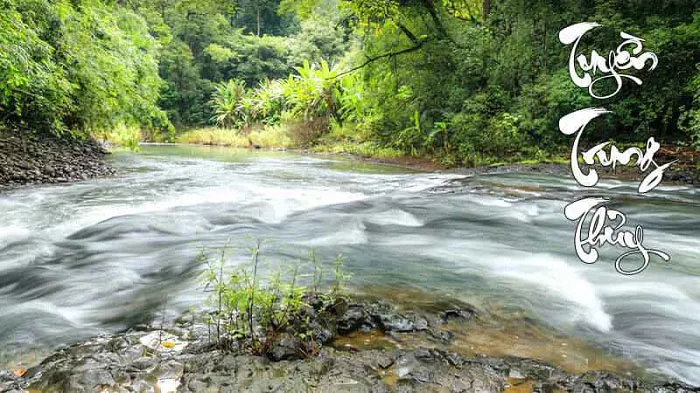 menh tuyen trung thuy hop mau gi 1 1