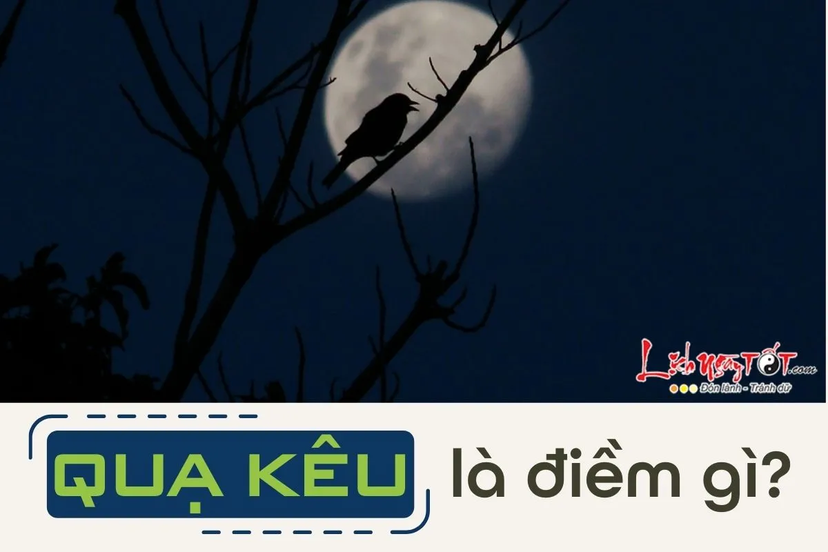 qua keu la diem gi 1