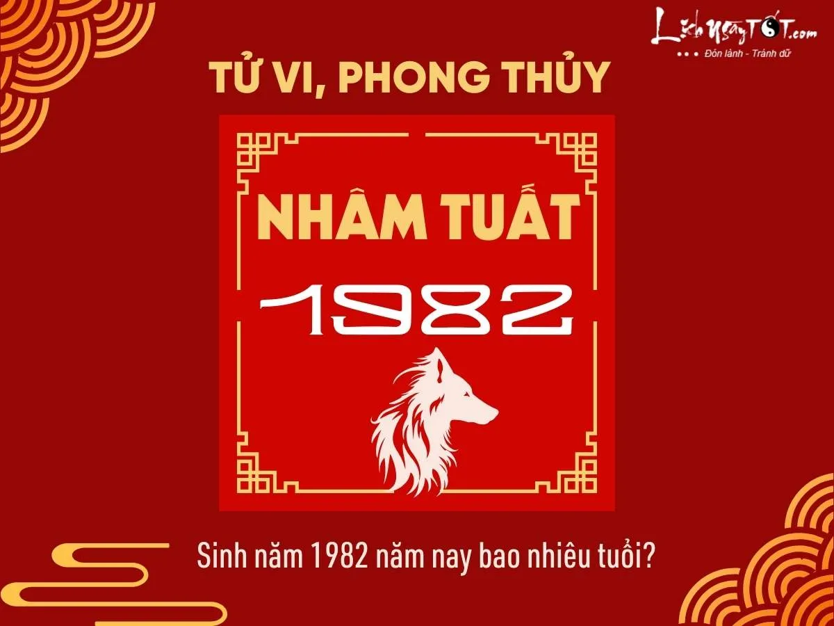 Thông tin tổng quan về tuổi Nhâm Tuất 1982 bao gồm năm sinh, mệnh, và các yếu tố tử vi