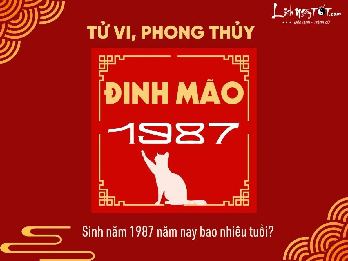 Hình ảnh minh họa tuổi Đinh Mão 1987
