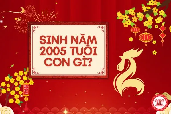 Thông tin về tuổi, mệnh và năm sinh 2005