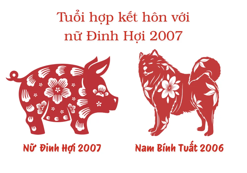 Nữ tuổi Đinh Hợi 2007 và Nam tuổi Bính Tuất 2006